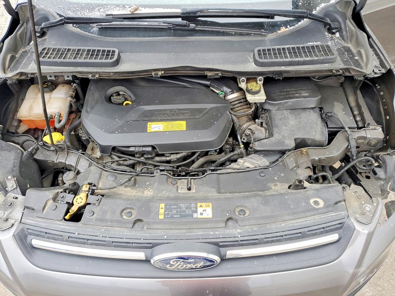 2014 FORD ESCAPE SE photo 12