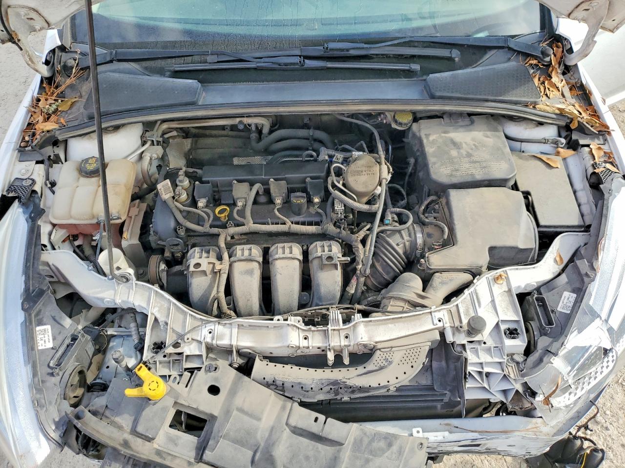 2015 FORD FOCUS SE photo 11