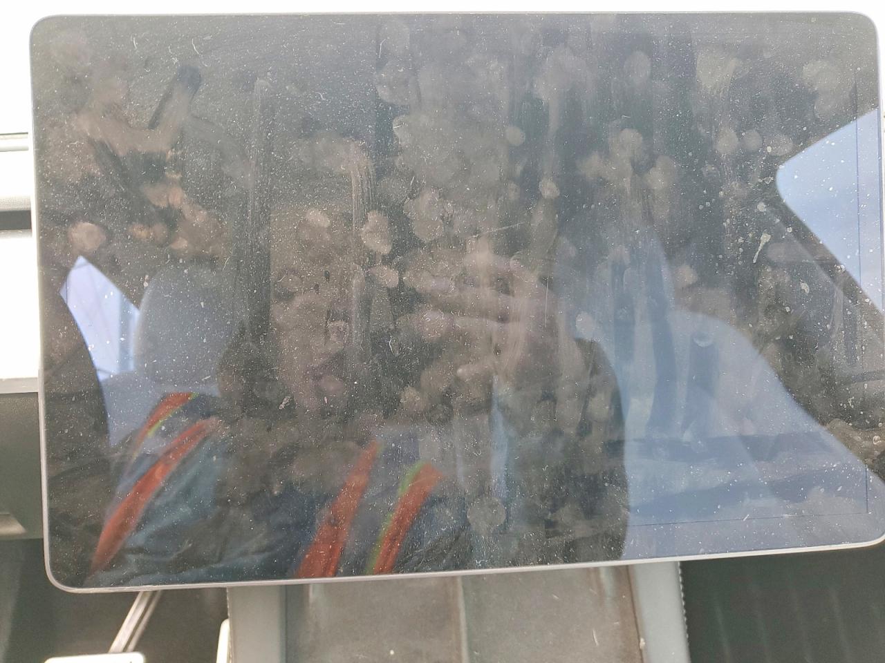2021 TESLA MODEL Y photo 9
