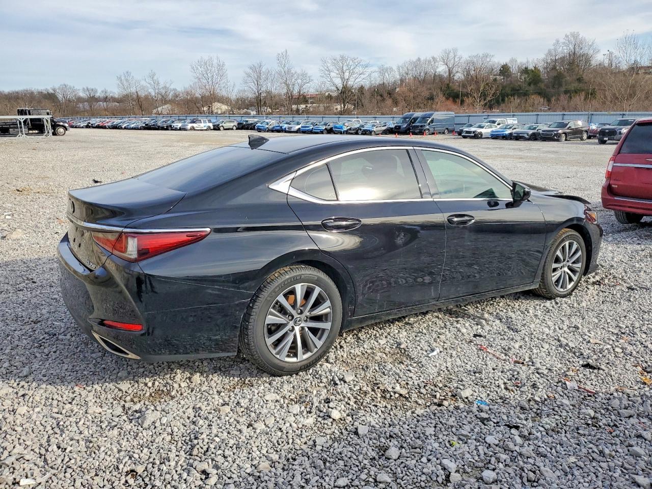 2019 LEXUS ES 350 photo 3