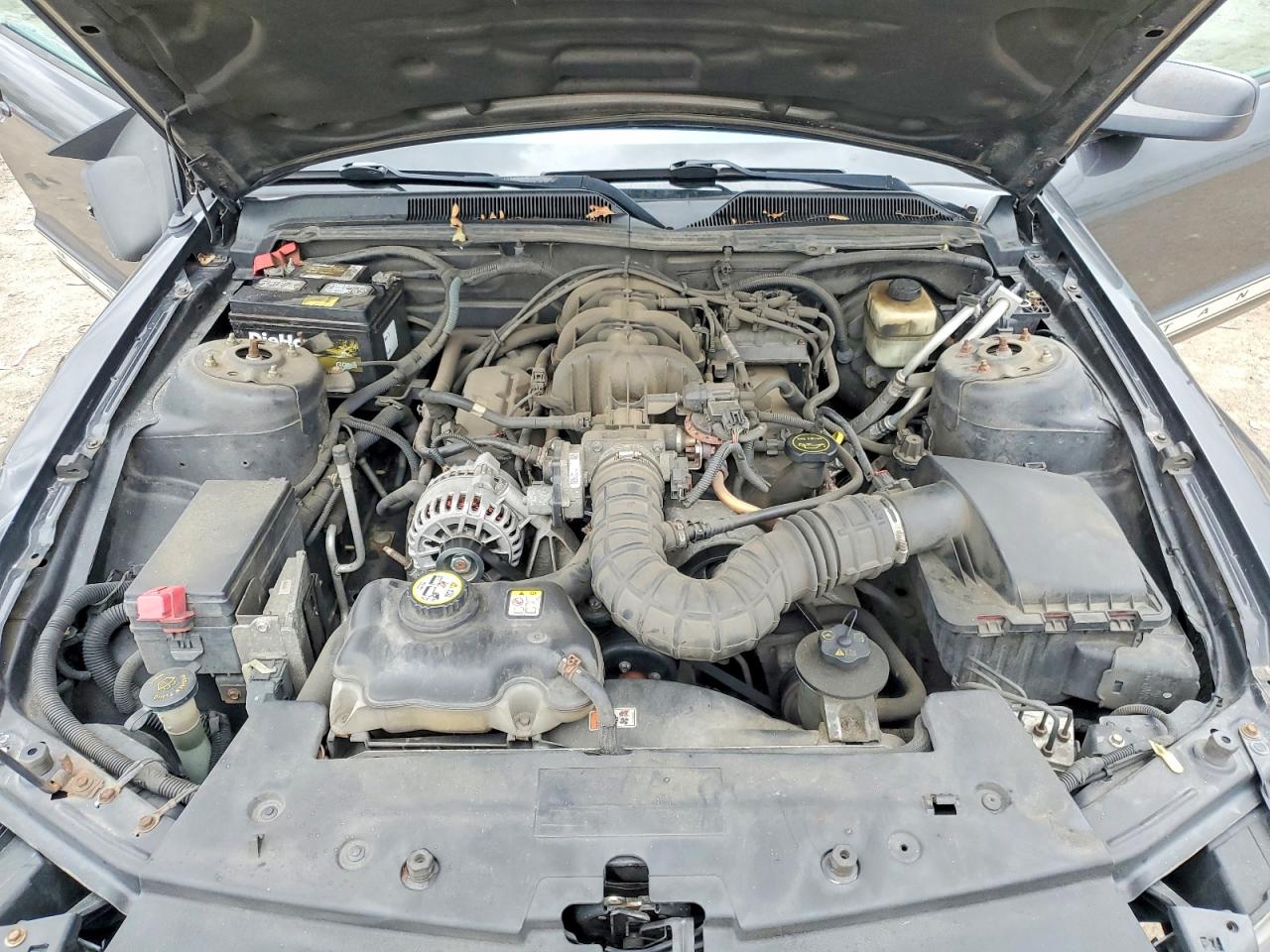2007 FORD MUSTANG photo 11