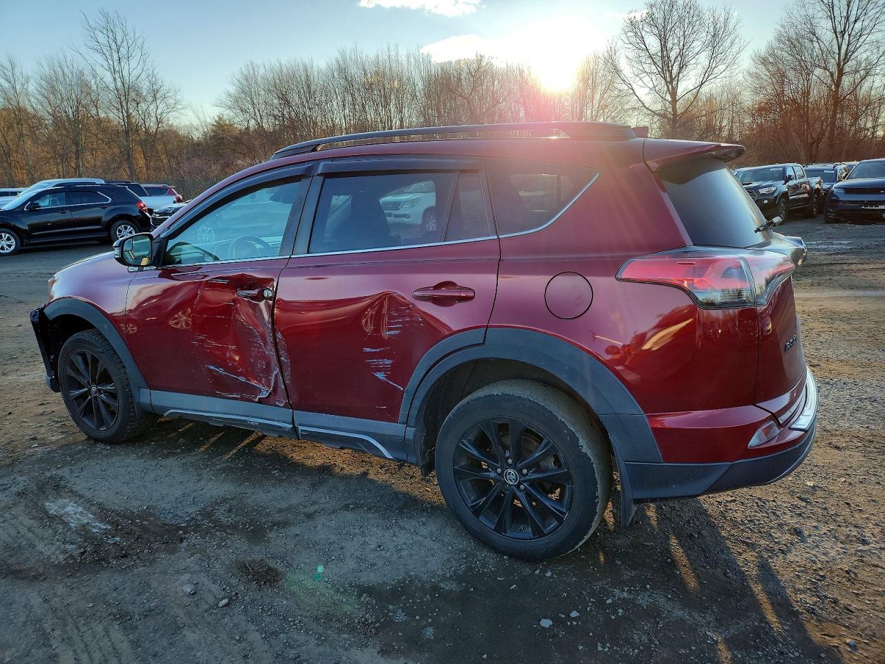 2018 TOYOTA RAV4 ADVENTURE photo 3