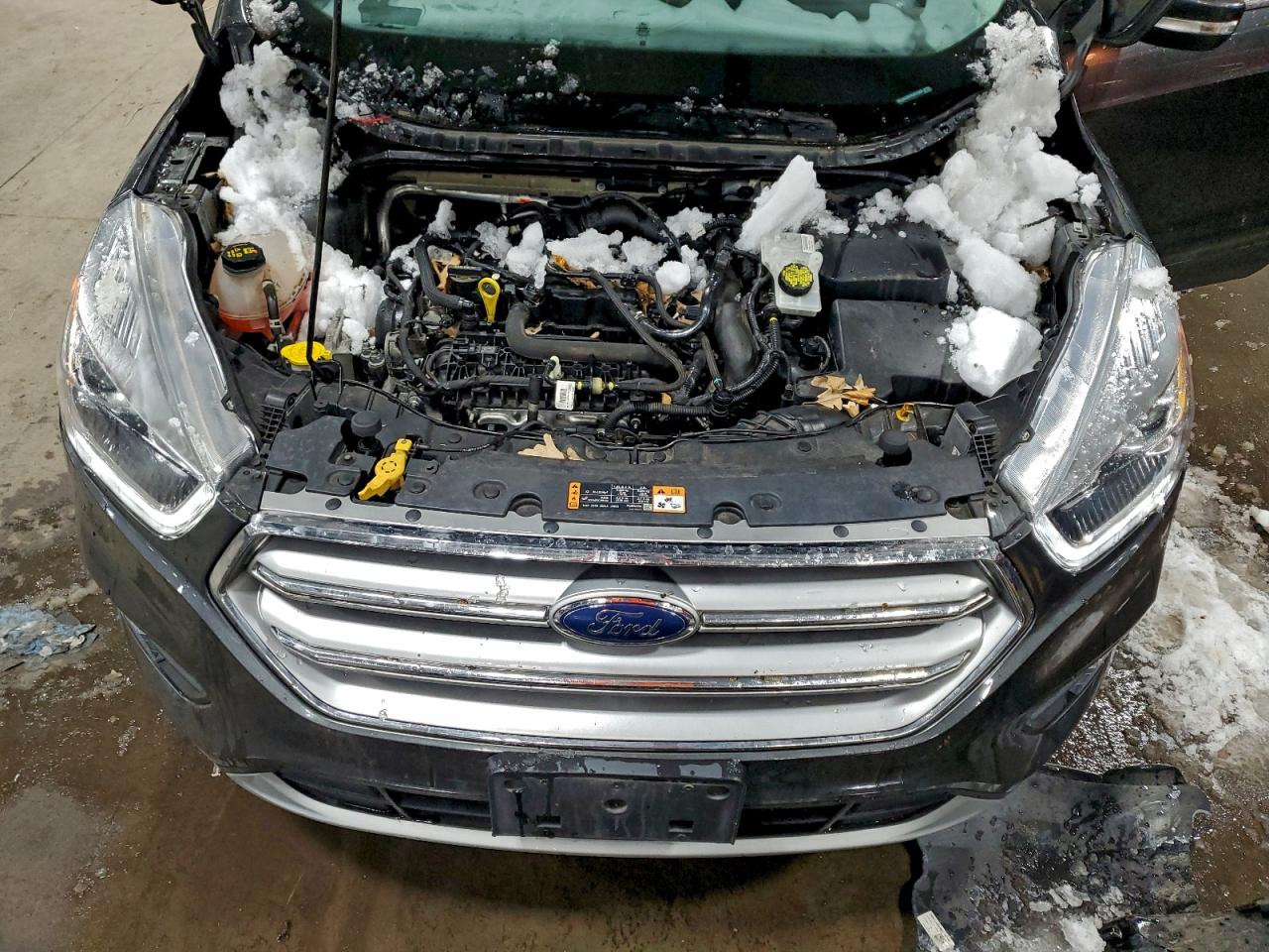 2017 FORD ESCAPE TITANIUM photo 12