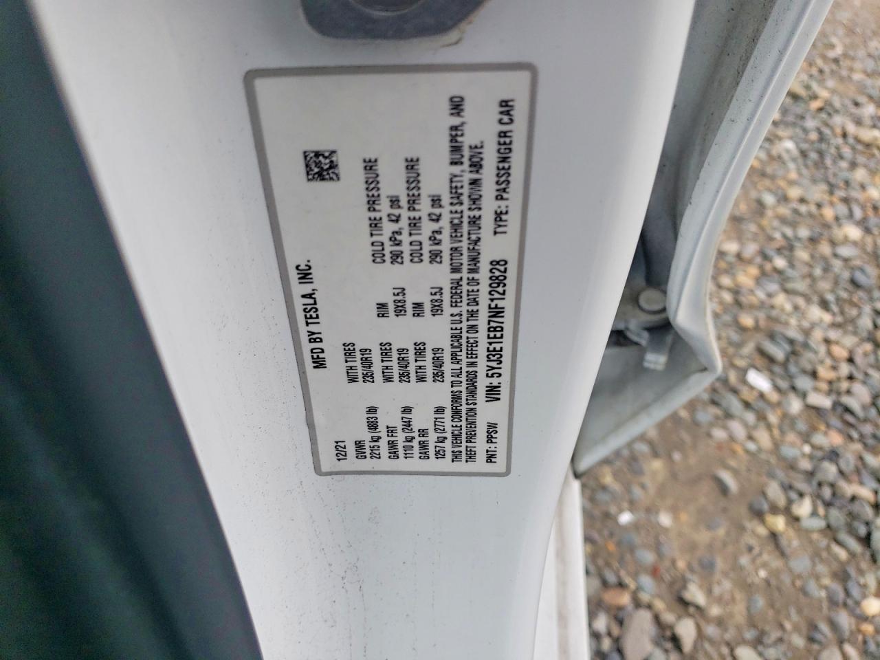 2022 TESLA MODEL 3 photo 12