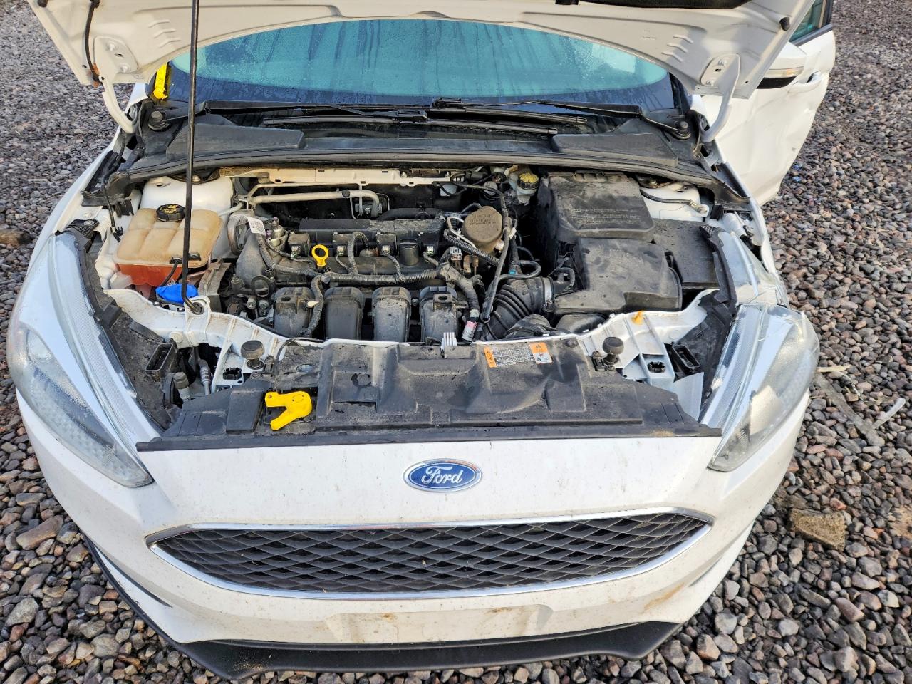 2015 FORD FOCUS SE photo 11