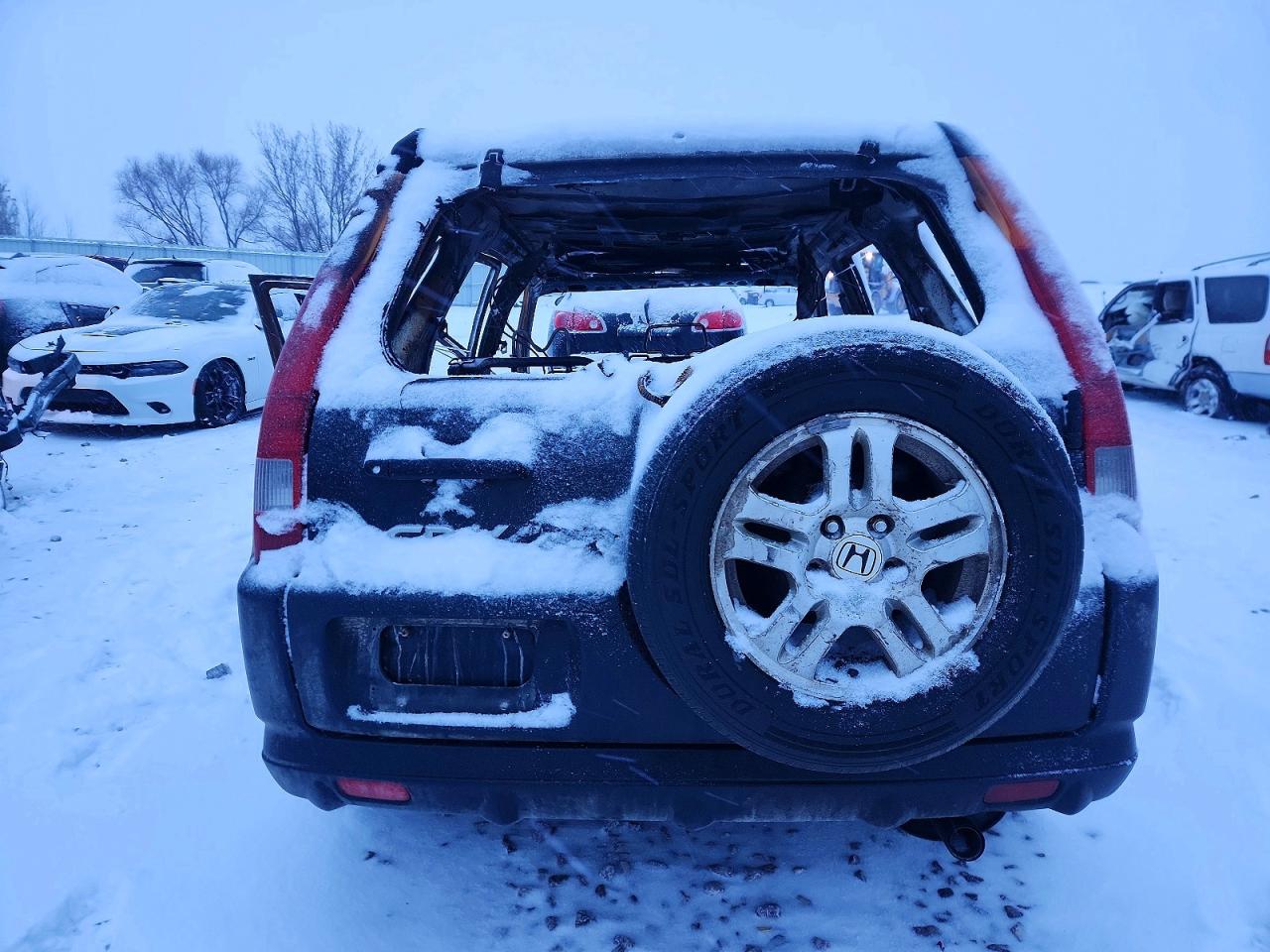 2004 HONDA CR-V EX photo 6