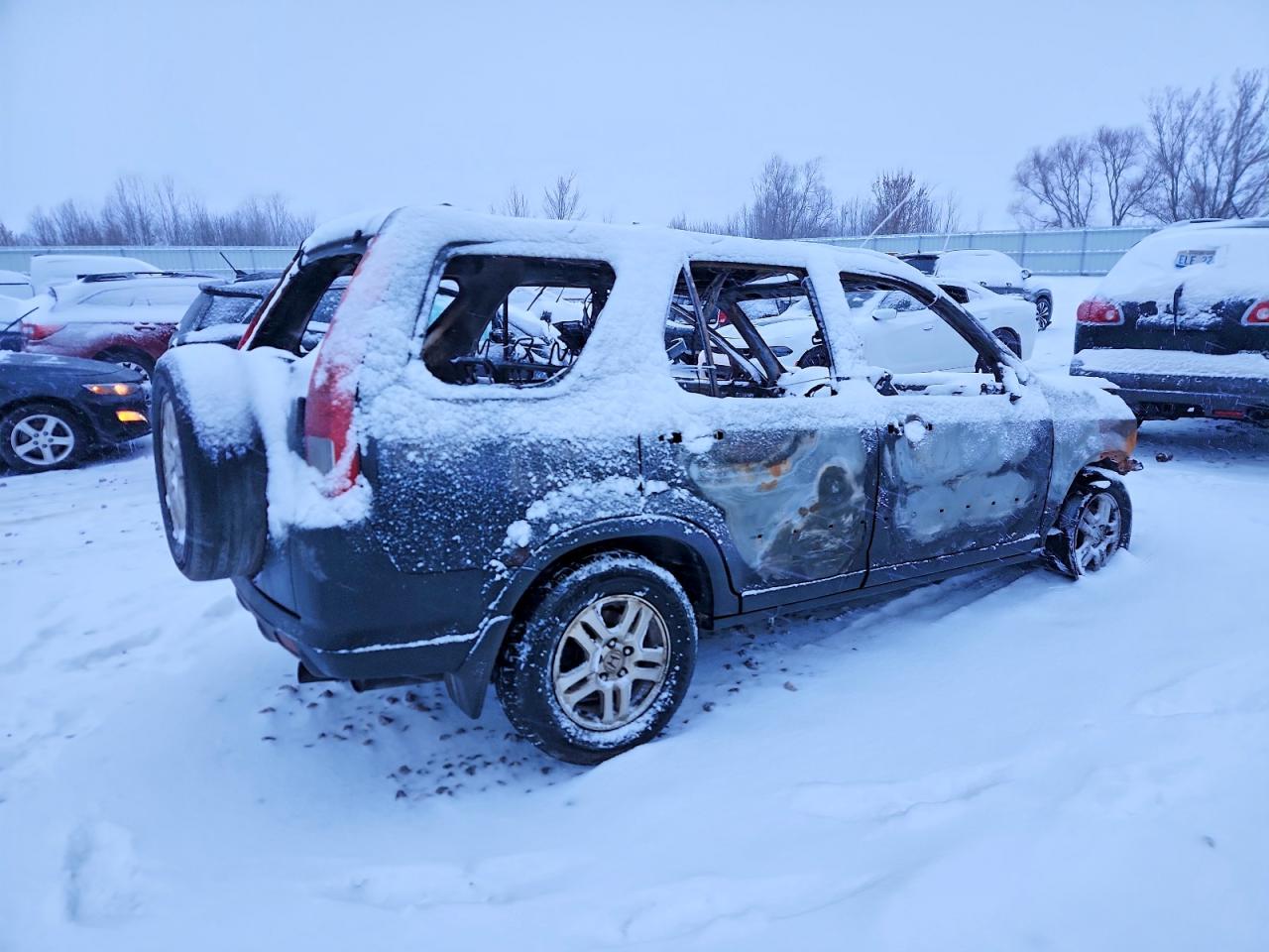 2004 HONDA CR-V EX photo 3