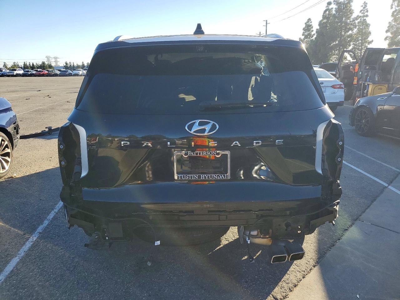 2024 HYUNDAI PALISADE CALLIGRAPHY photo 6
