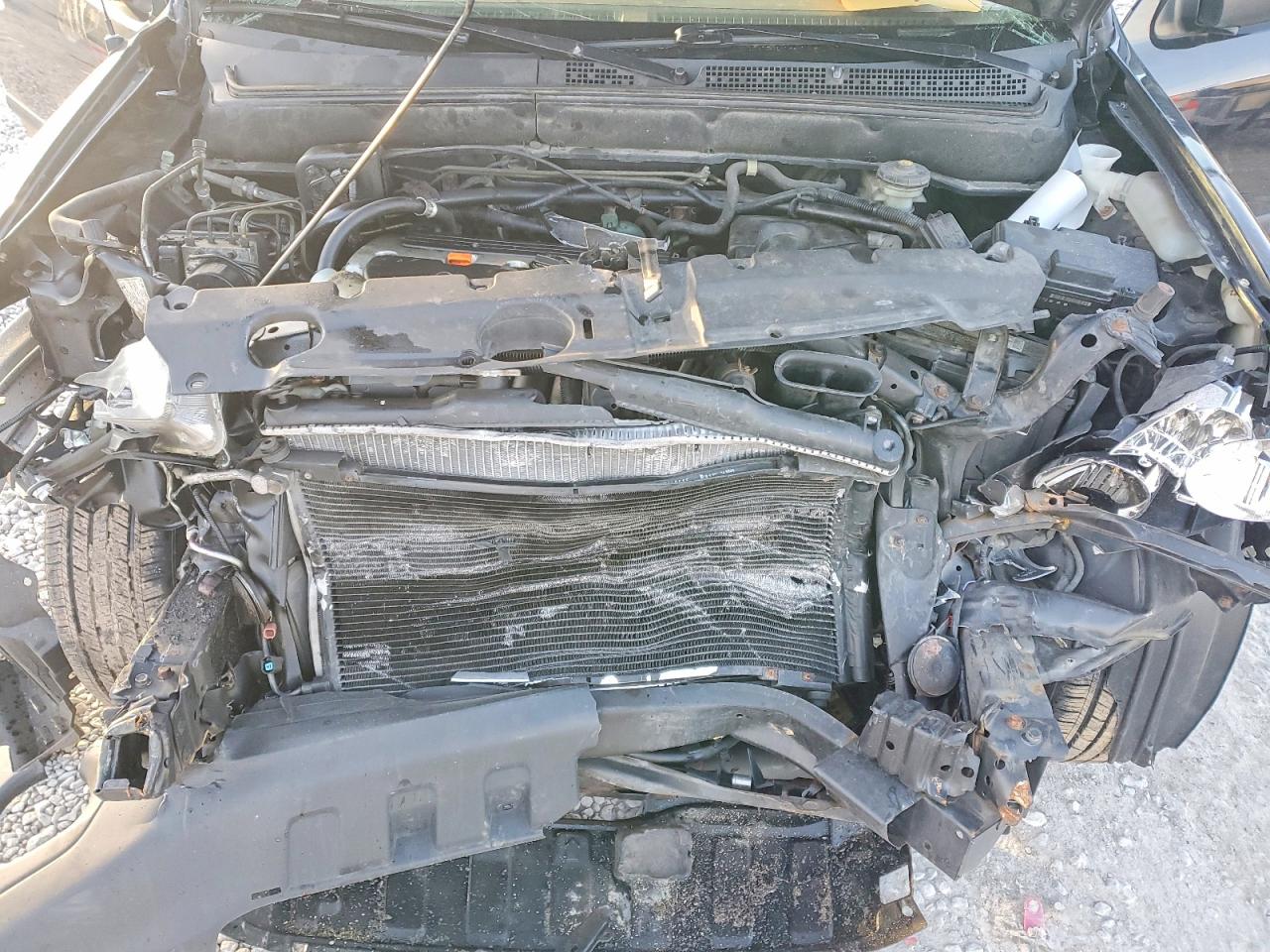 2005 HONDA CR-V LX photo 12