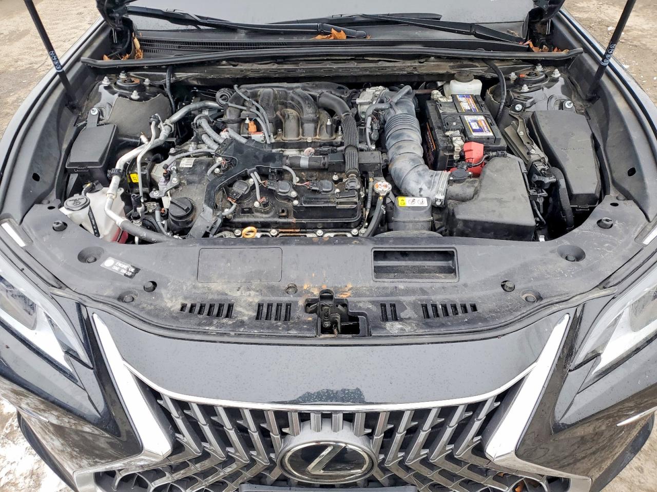 2023 LEXUS ES 350 BASE photo 21