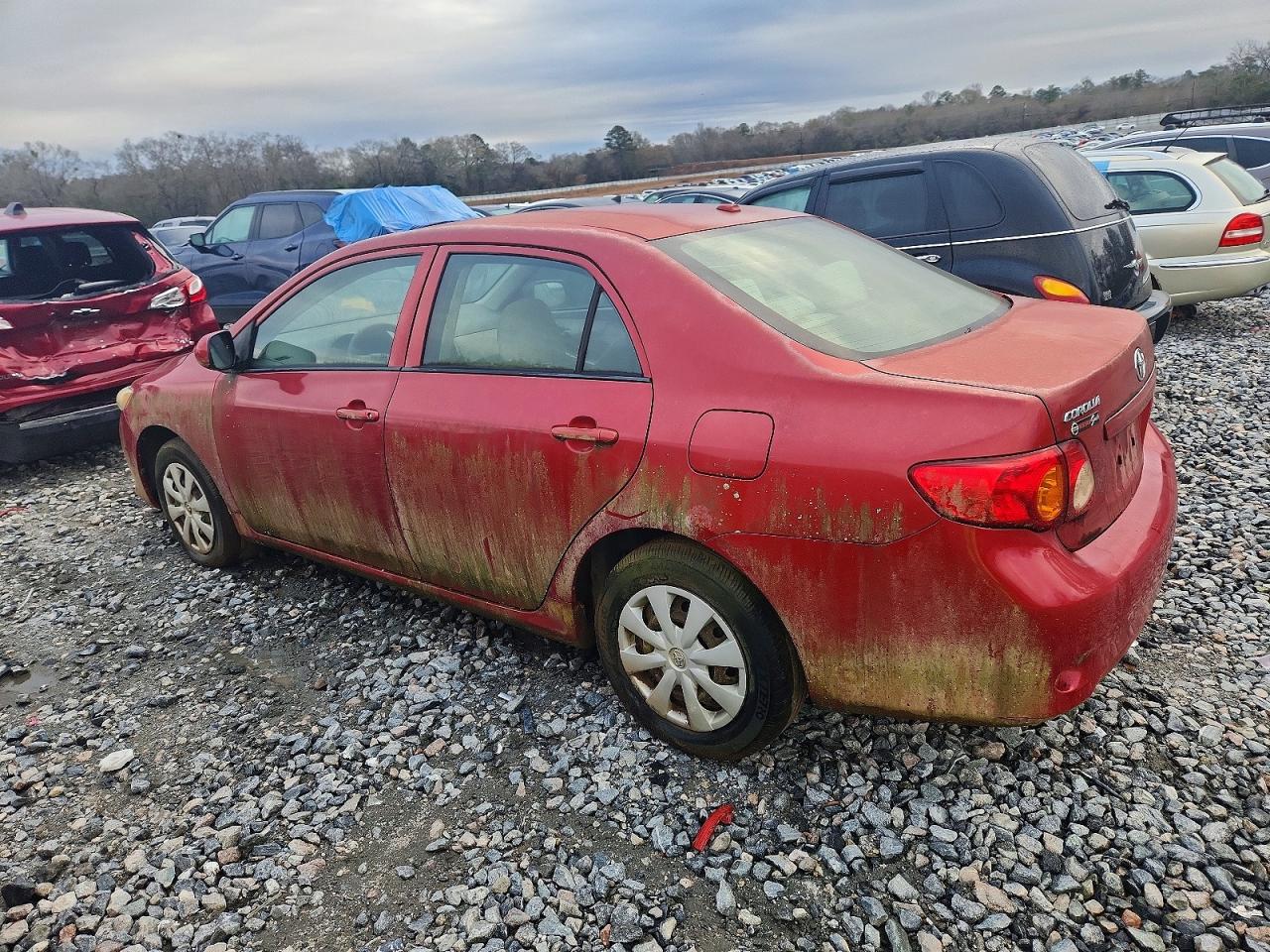 2010 TOYOTA COROLLA BASE photo 2