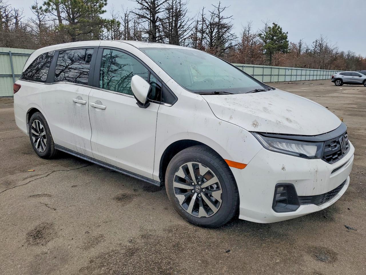 2025 HONDA ODYSSEY EXL photo 7