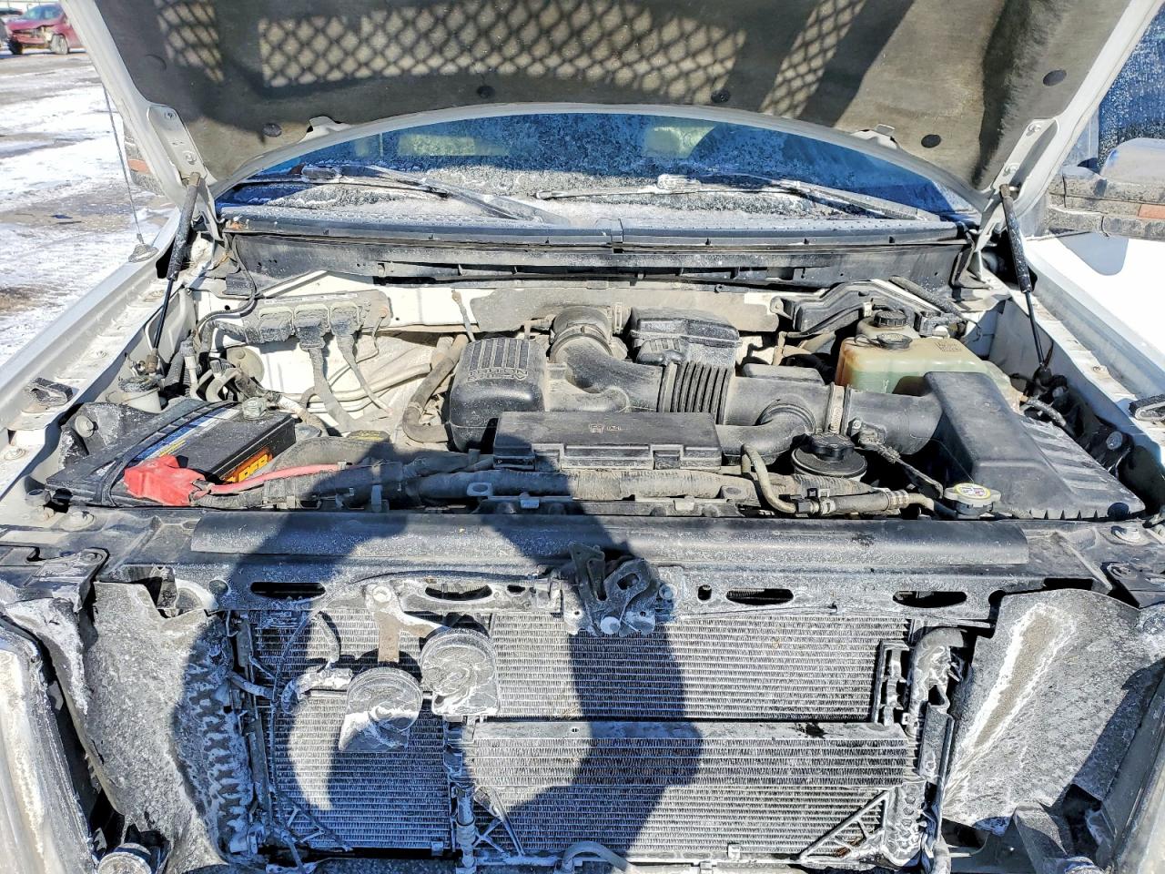 2010 FORD F150 SUPERCREW photo 11