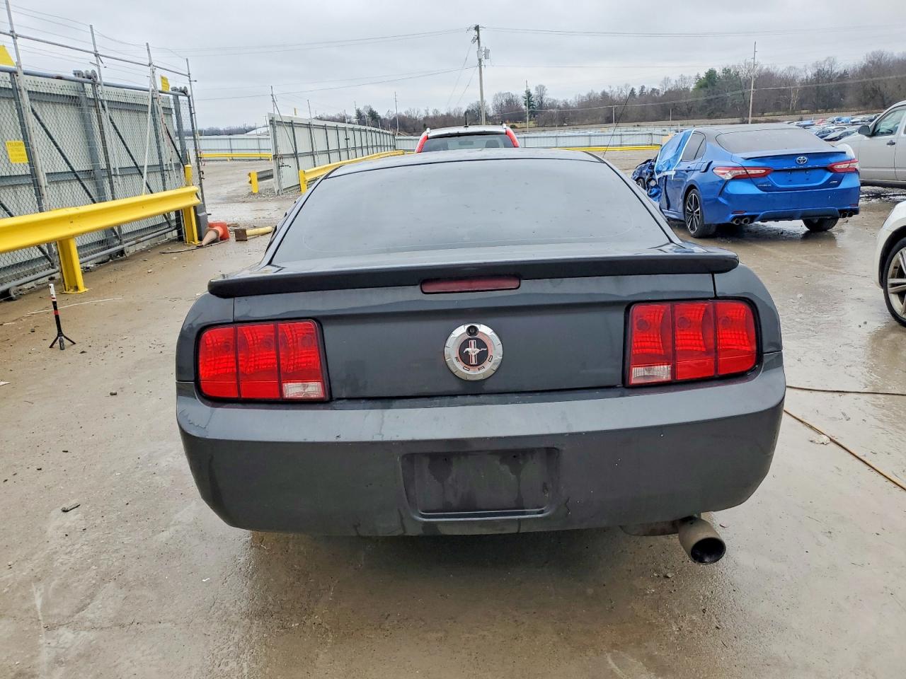 2007 FORD MUSTANG photo 11