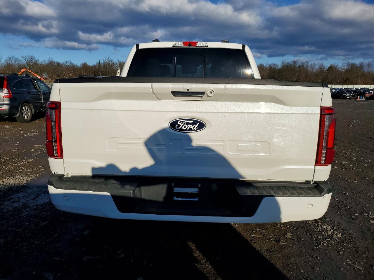 2024 FORD F150 PLATINUM photo 6