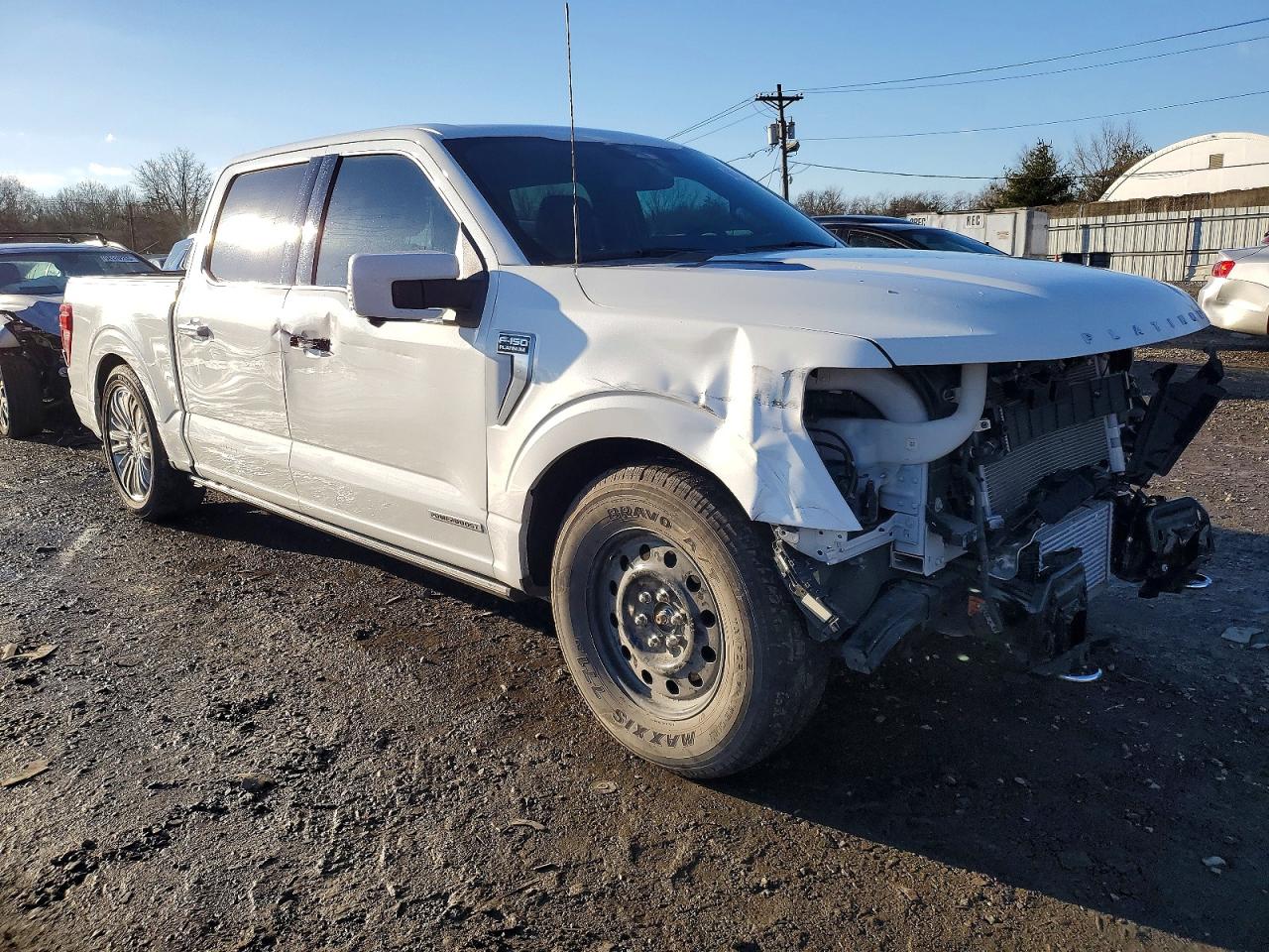 2024 FORD F150 PLATINUM photo 4
