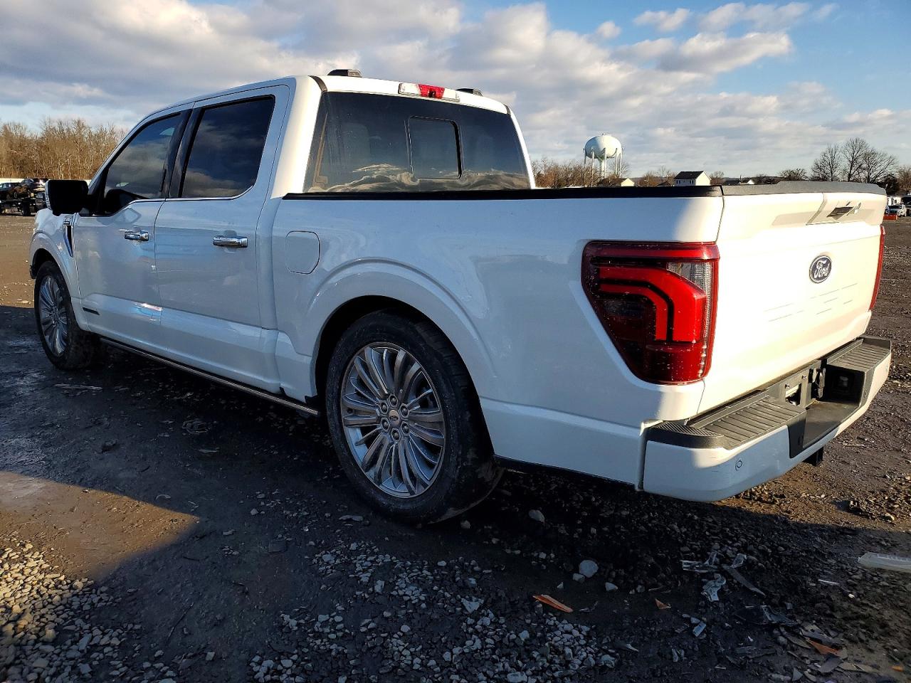 2024 FORD F150 PLATINUM photo 2