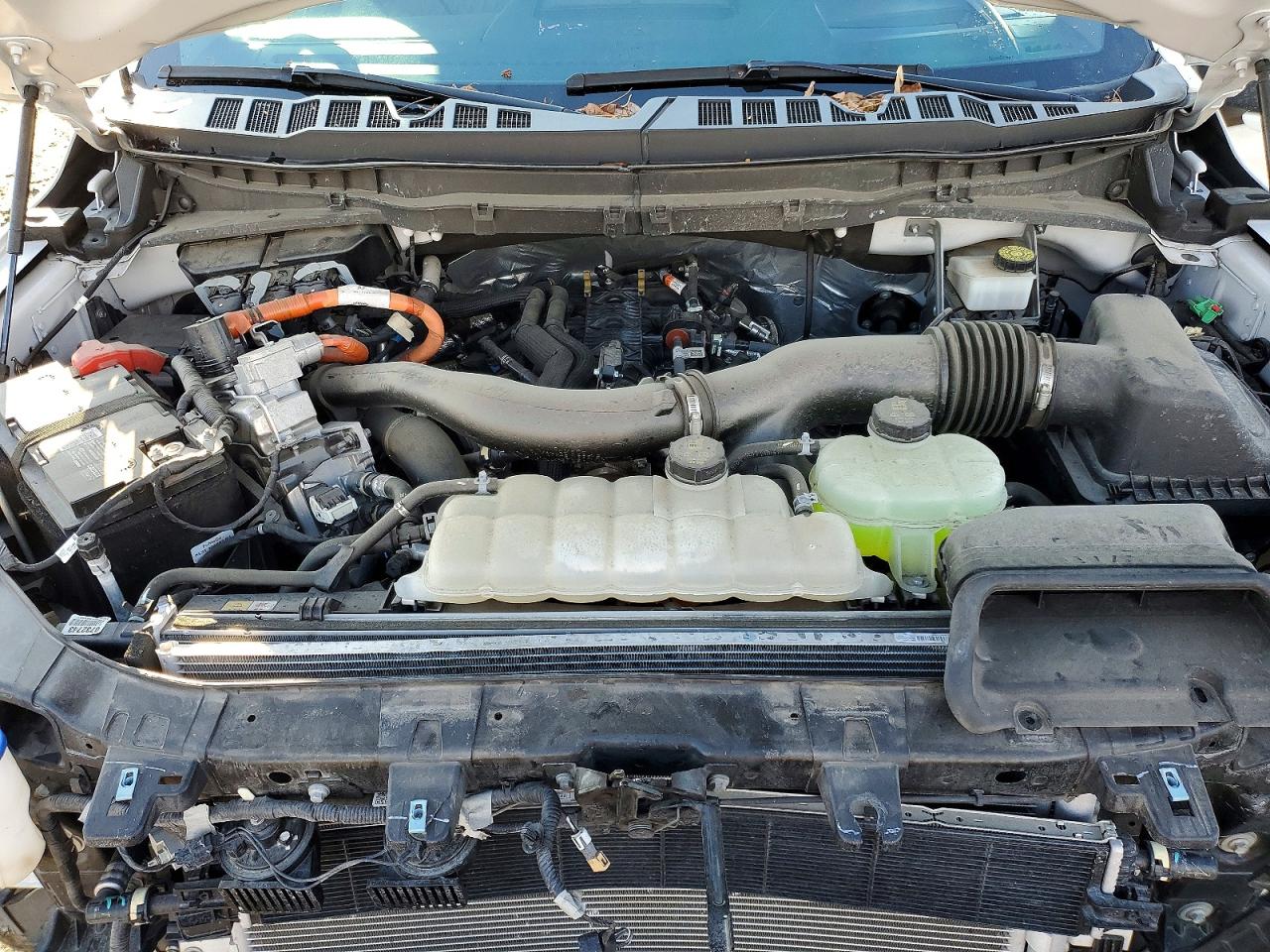 2024 FORD F150 PLATINUM photo 11