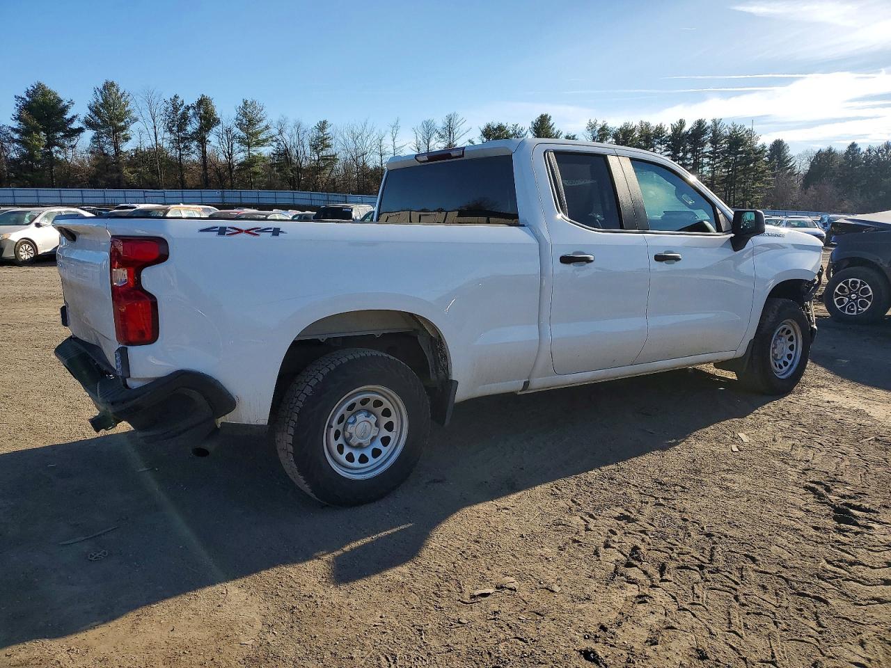 2019 CHEVROLET SILVERADO K1500 photo 3