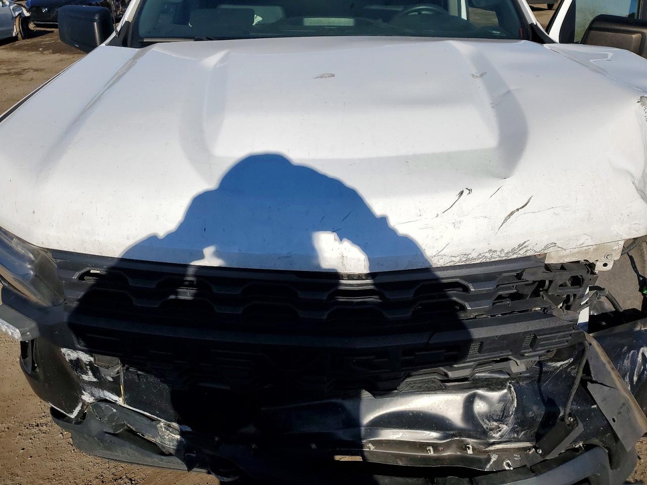 2019 CHEVROLET SILVERADO K1500 photo 11
