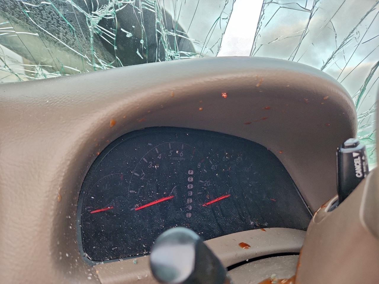 2006 TOYOTA CAMRY LE photo 9