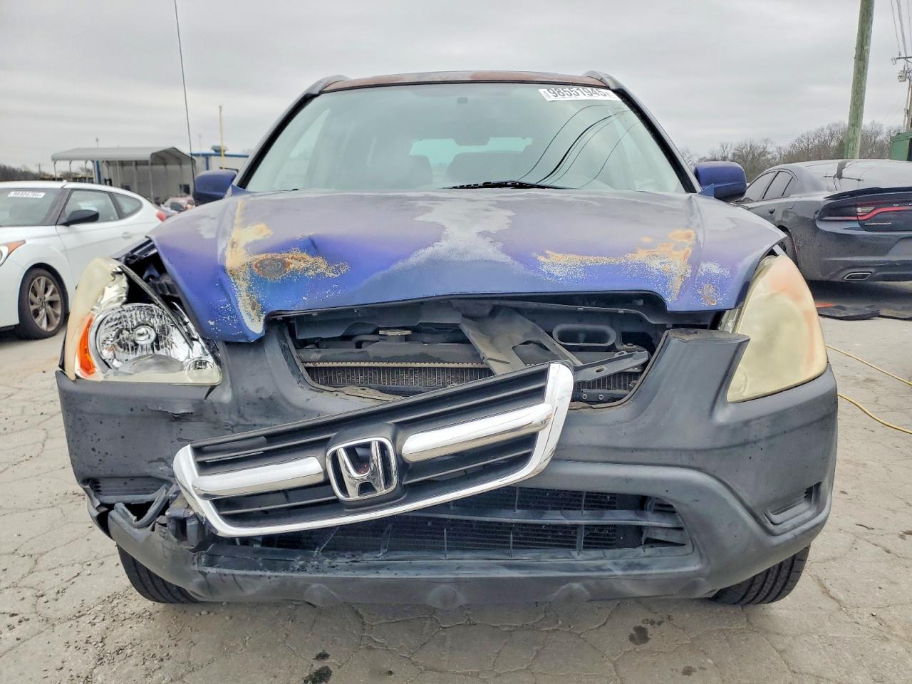 2004 HONDA CR-V EX photo 5
