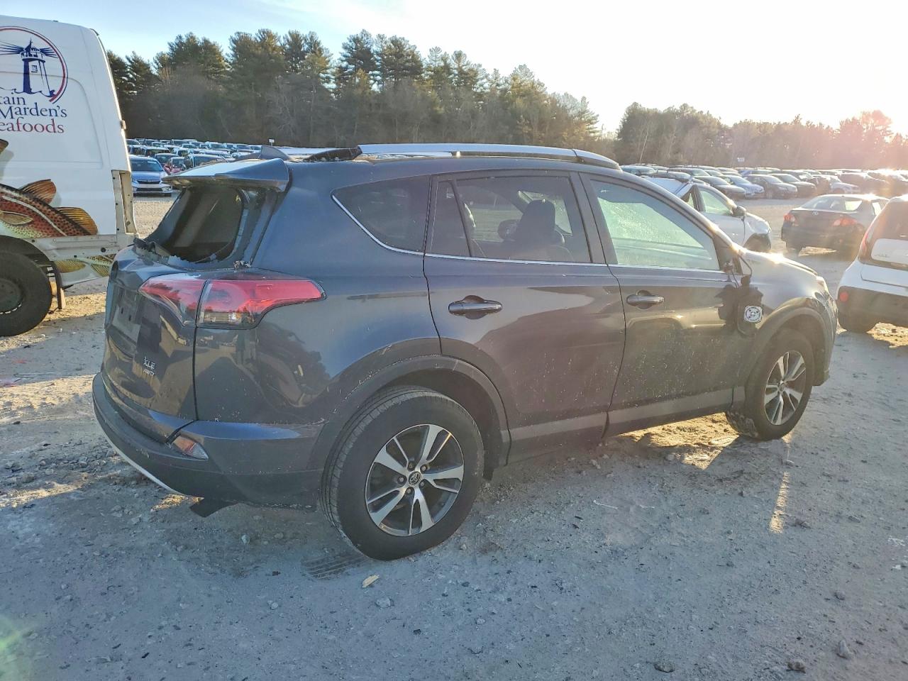 2016 TOYOTA RAV4 XLE photo 3
