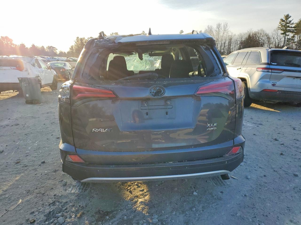 2016 TOYOTA RAV4 XLE photo 6