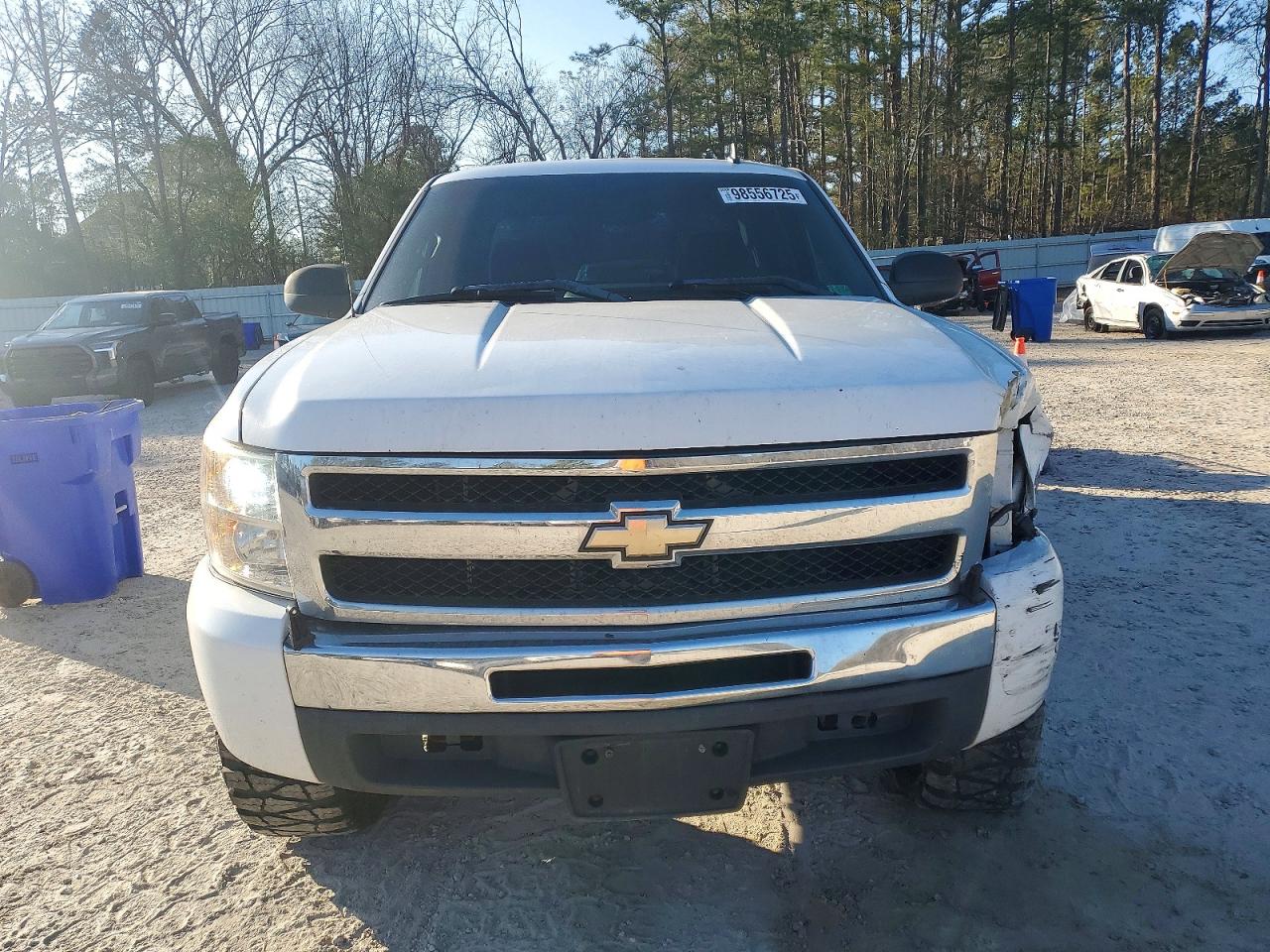 2009 CHEVROLET SILVERADO C1500 photo 9