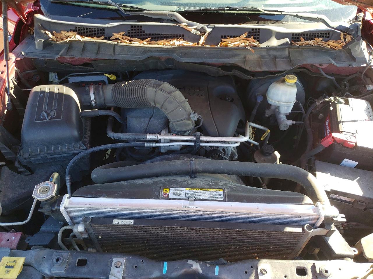 2010 DODGE RAM 1500 photo 11