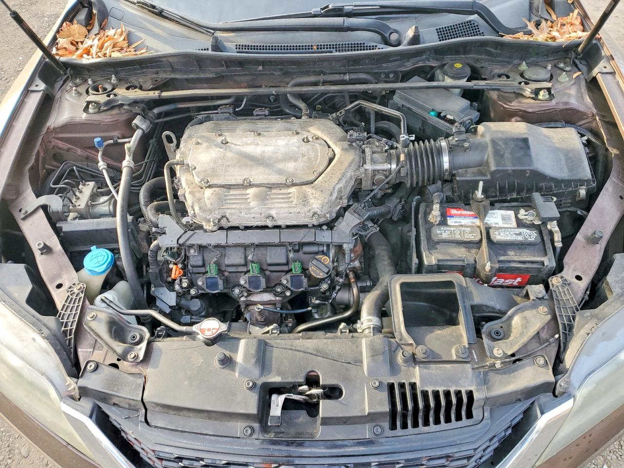 2013 HONDA ACCORD EXL photo 11