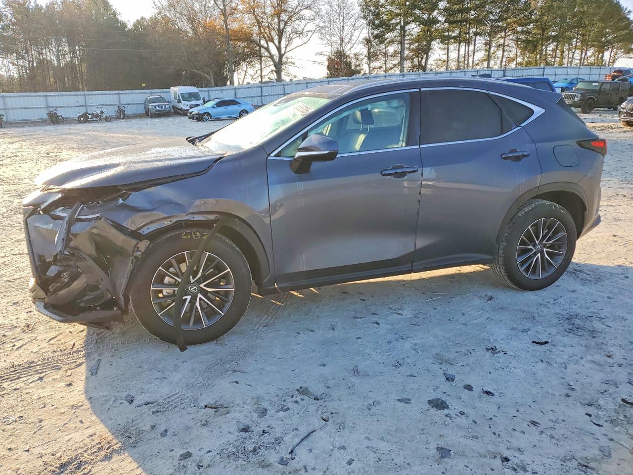 2025 LEXUS NX