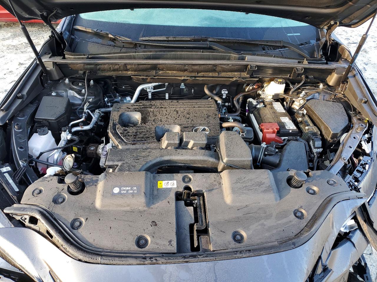 2025 LEXUS NX 250 BASE photo 12
