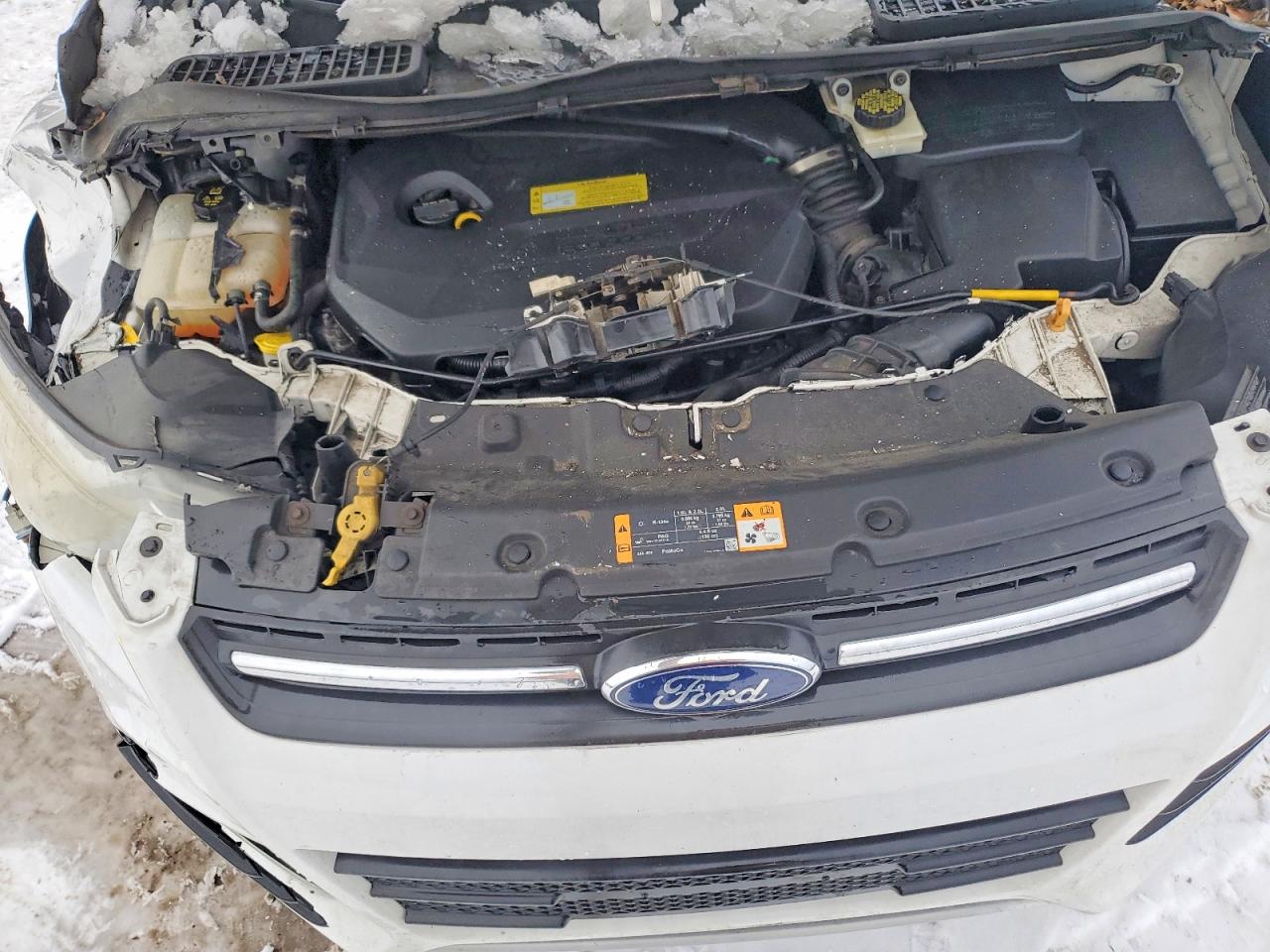 2014 FORD ESCAPE SE photo 11
