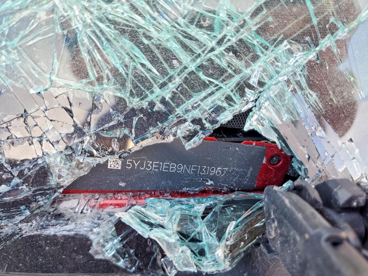 2022 TESLA MODEL 3 photo 12