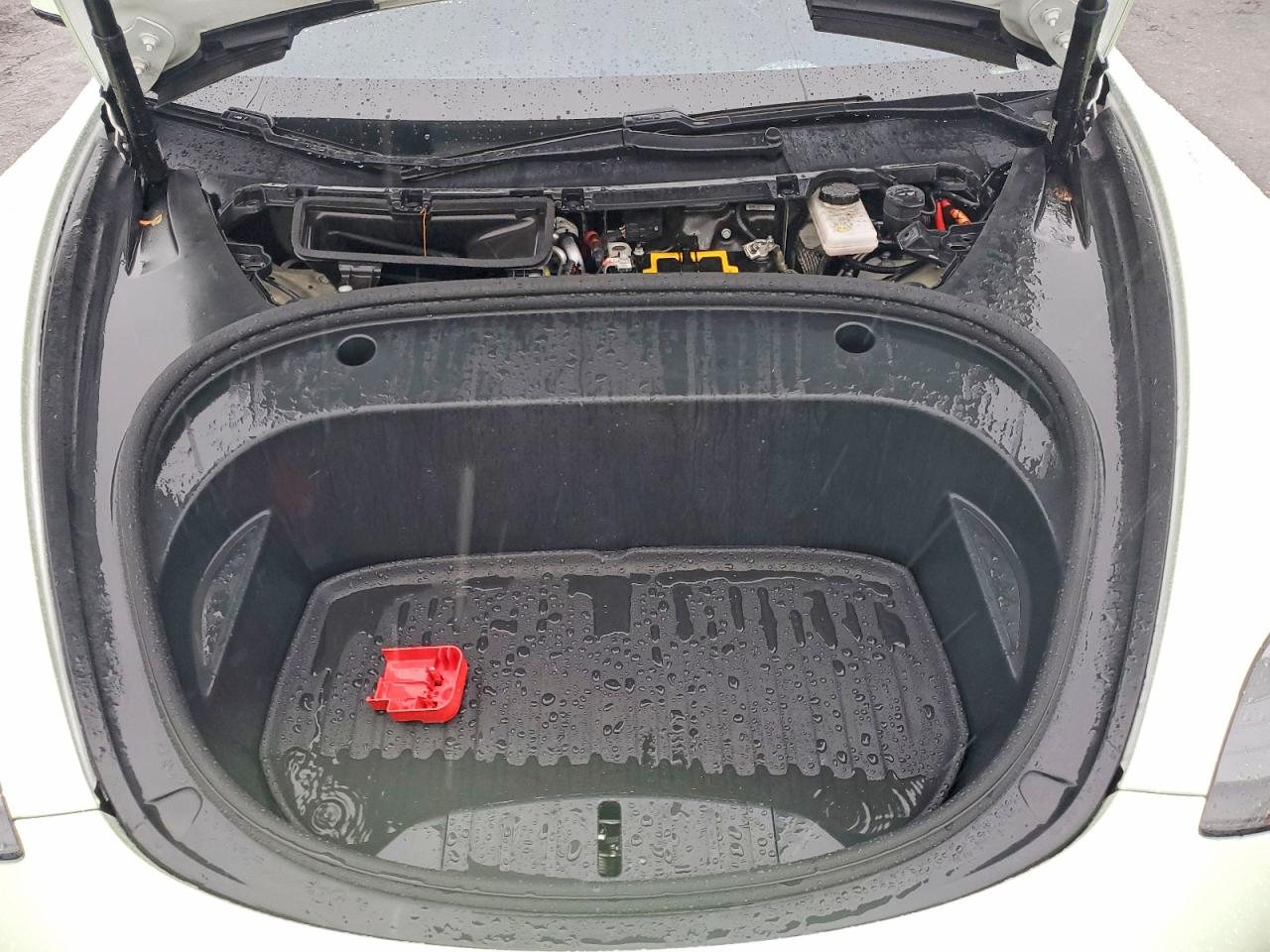 2021 TESLA MODEL 3 photo 11