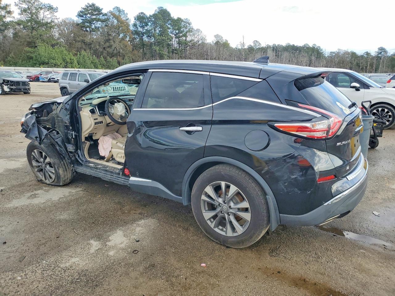 2017 NISSAN MURANO PLATINUM photo 3