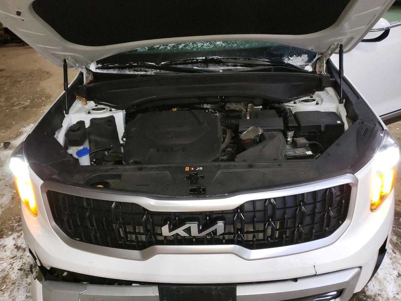 2025 KIA TELLURIDE EX photo 12
