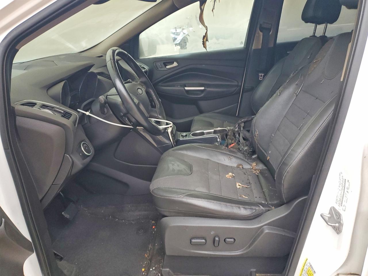 2013 FORD ESCAPE TITANIUM photo 13