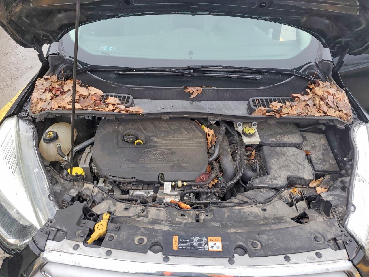 2017 FORD ESCAPE SE photo 23