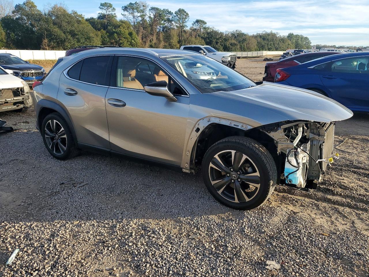 2019 LEXUS UX 200 photo 4