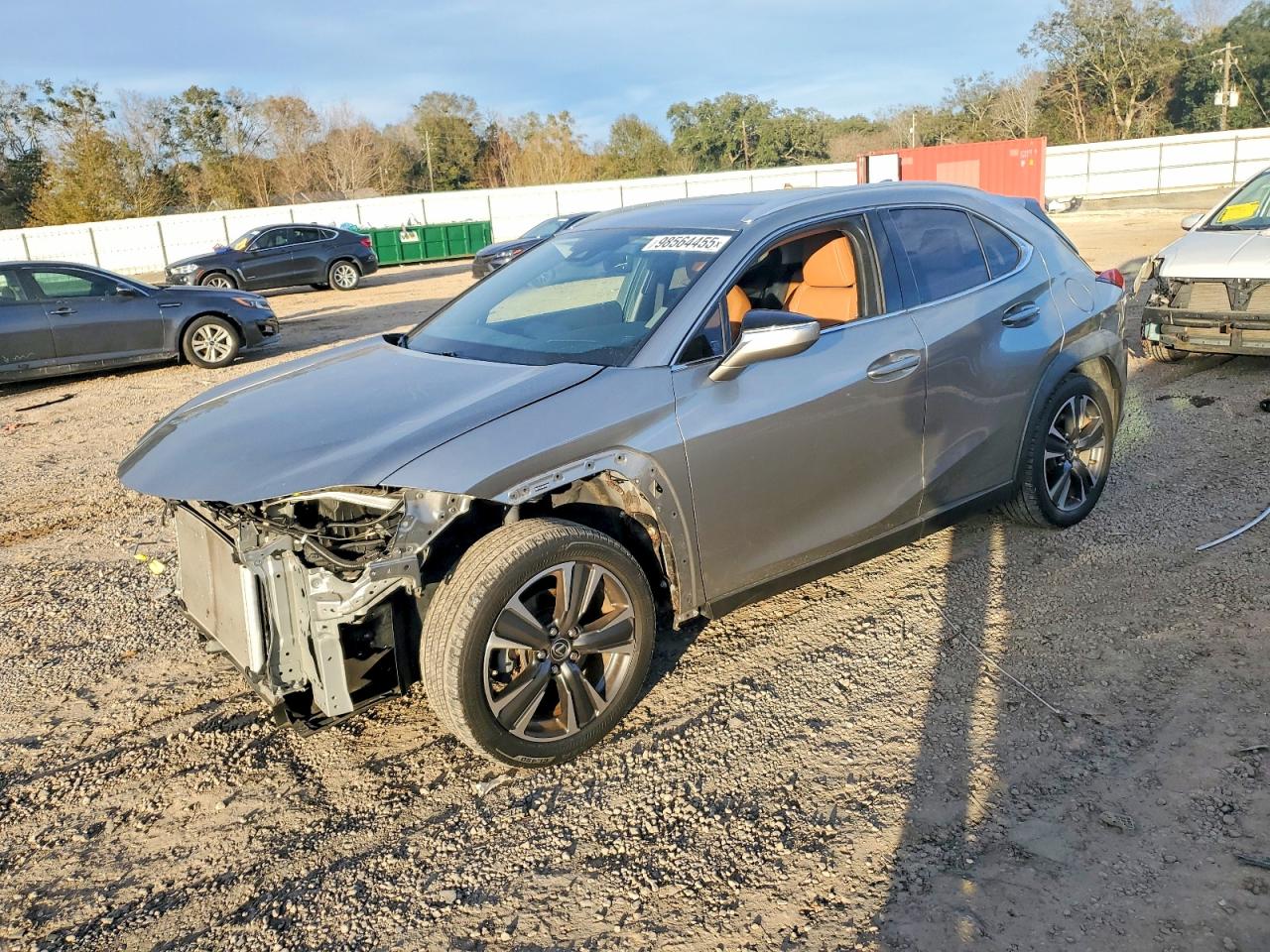 2019 LEXUS UX