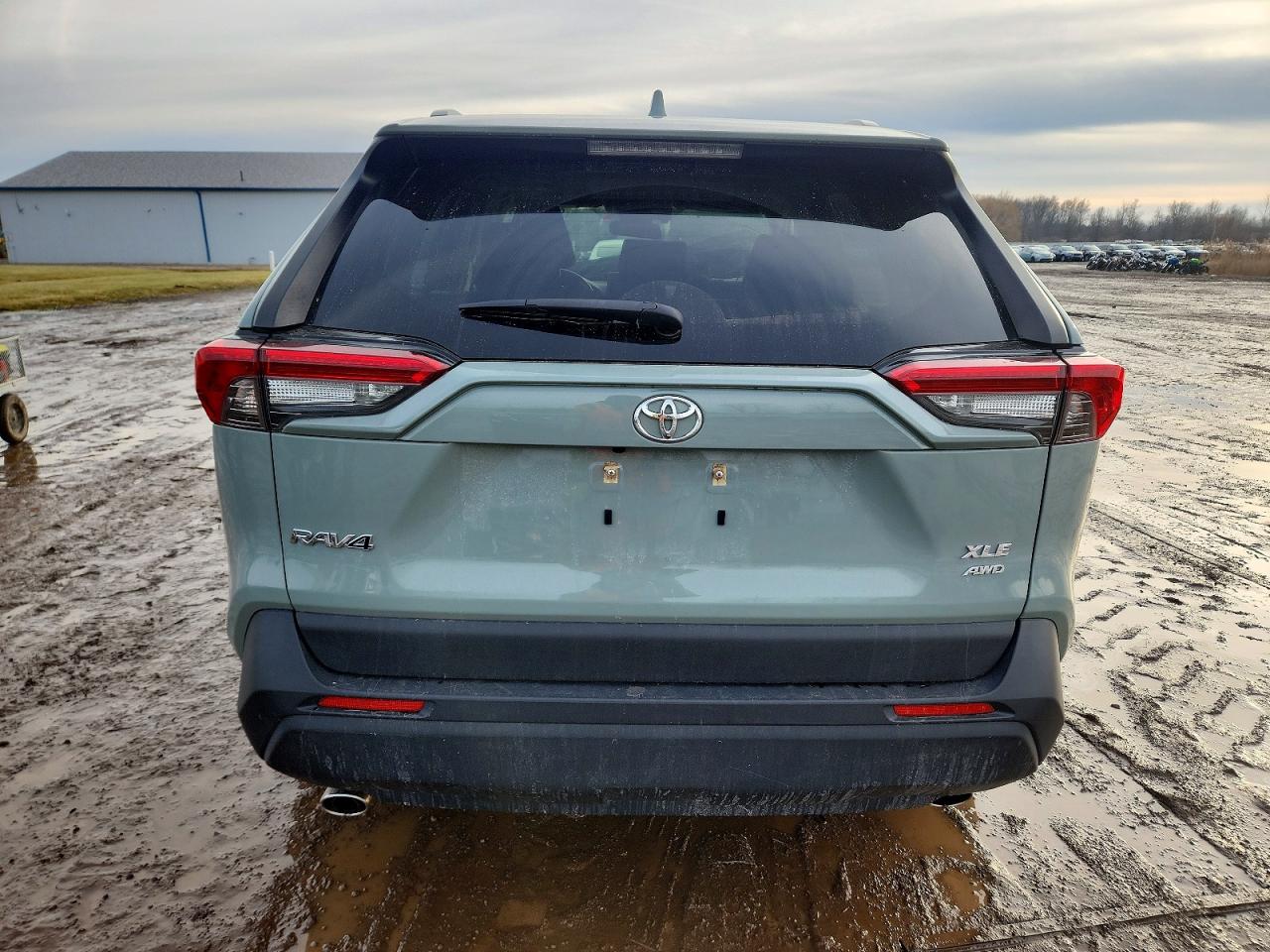 2019 TOYOTA RAV4 XLE photo 6