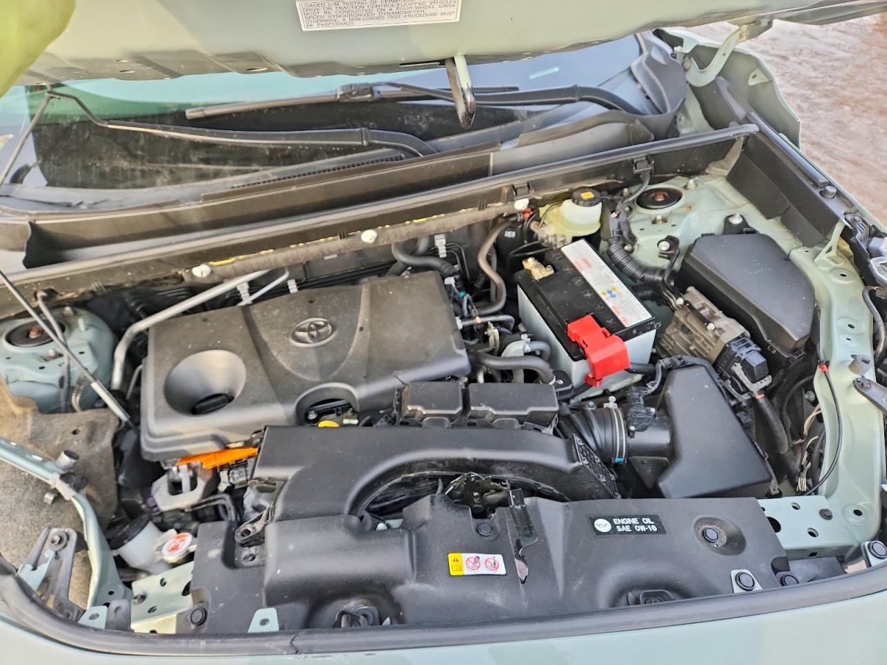 2019 TOYOTA RAV4 XLE photo 12