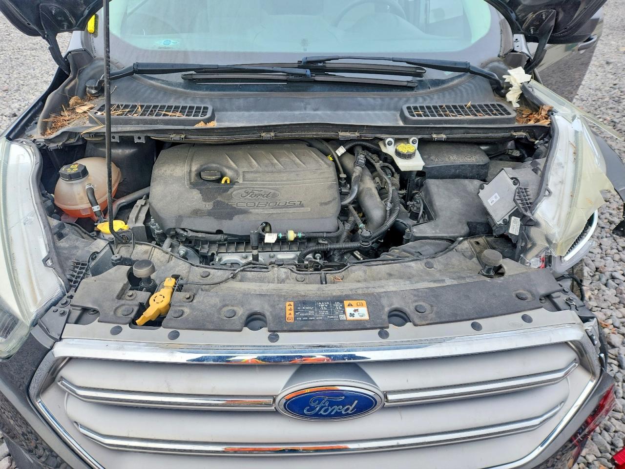 2017 FORD ESCAPE SE photo 11