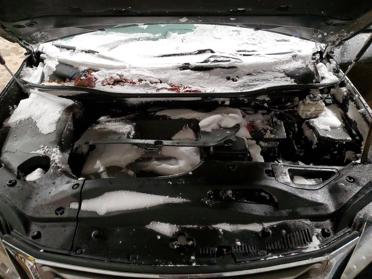 2015 LEXUS RX 350 BASE photo 11
