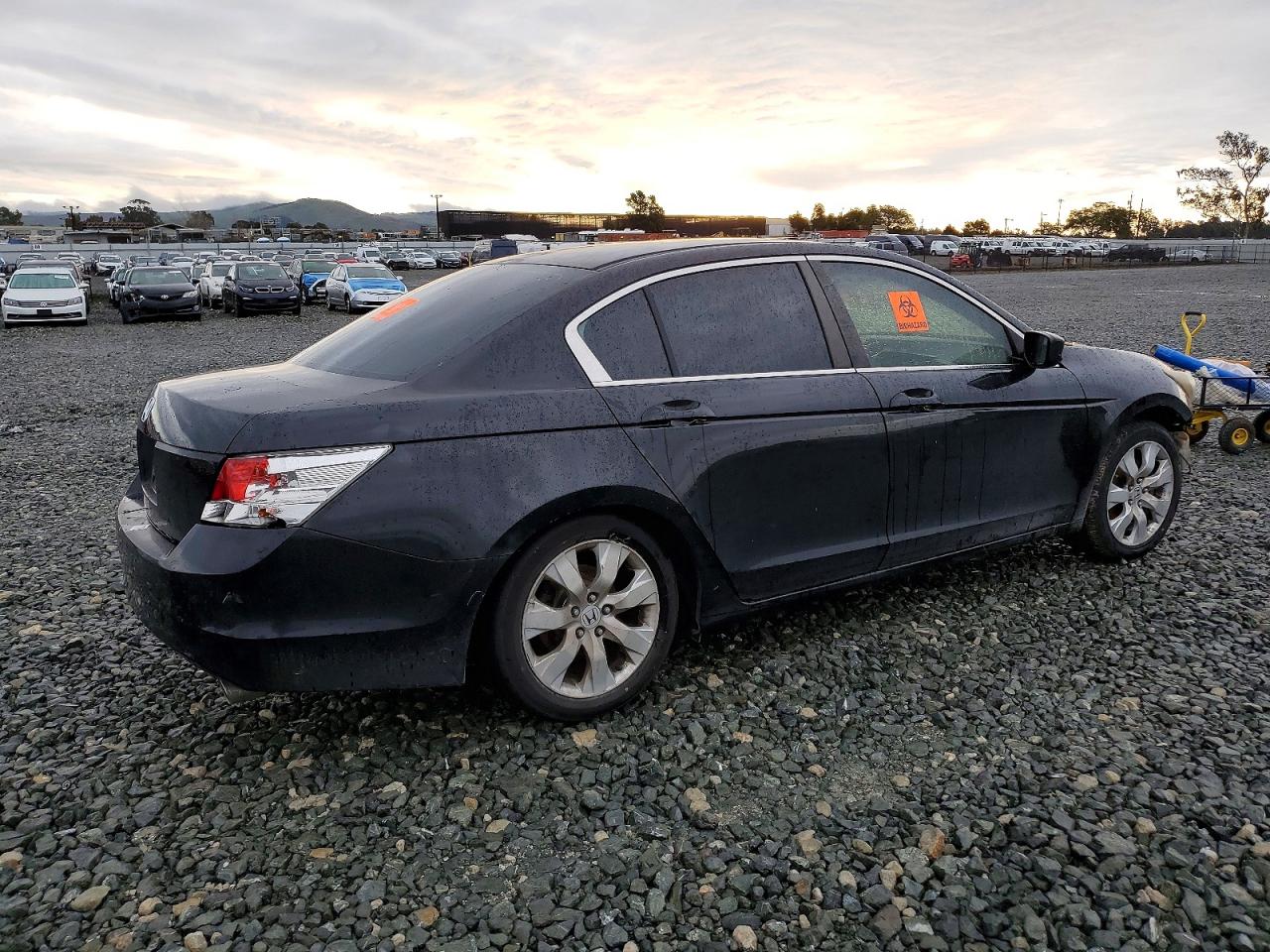 2010 HONDA ACCORD EX photo 7