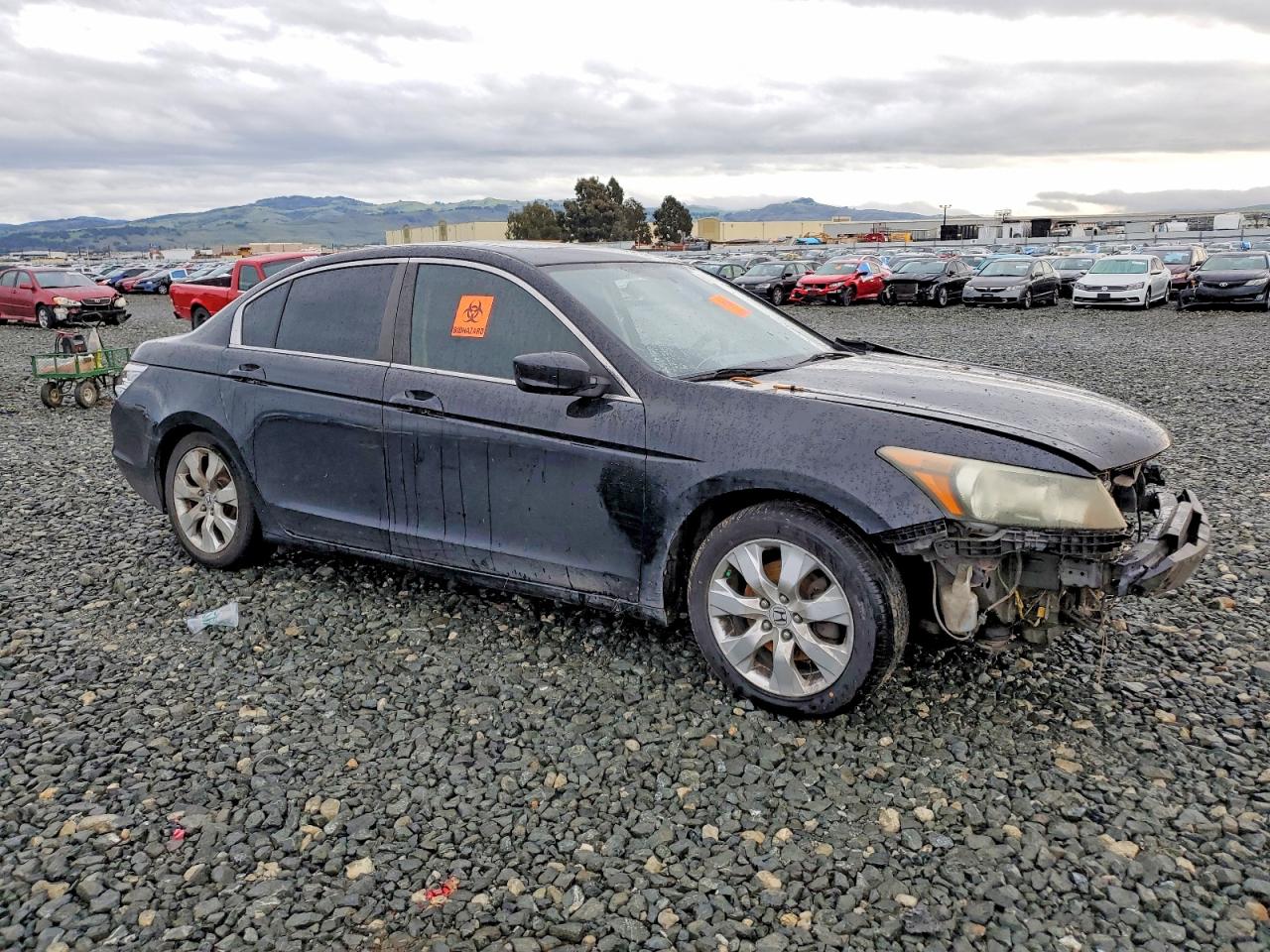 2010 HONDA ACCORD EX photo 10