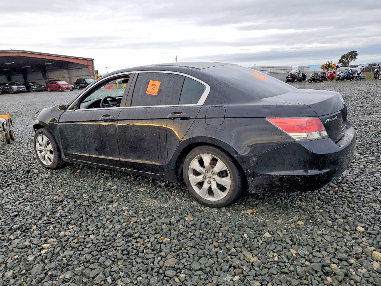 2010 HONDA ACCORD EX photo 4