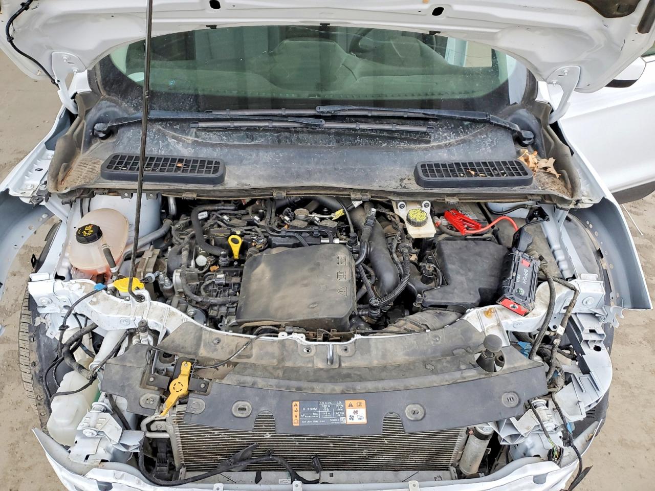 2019 FORD ESCAPE SE photo 23